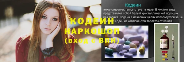 соль ск Бородино