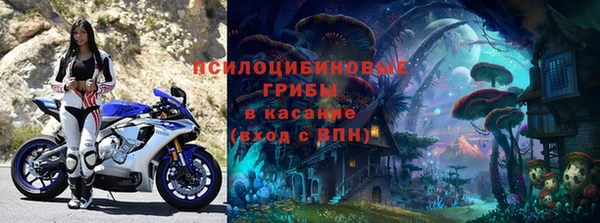 соль ск Бородино